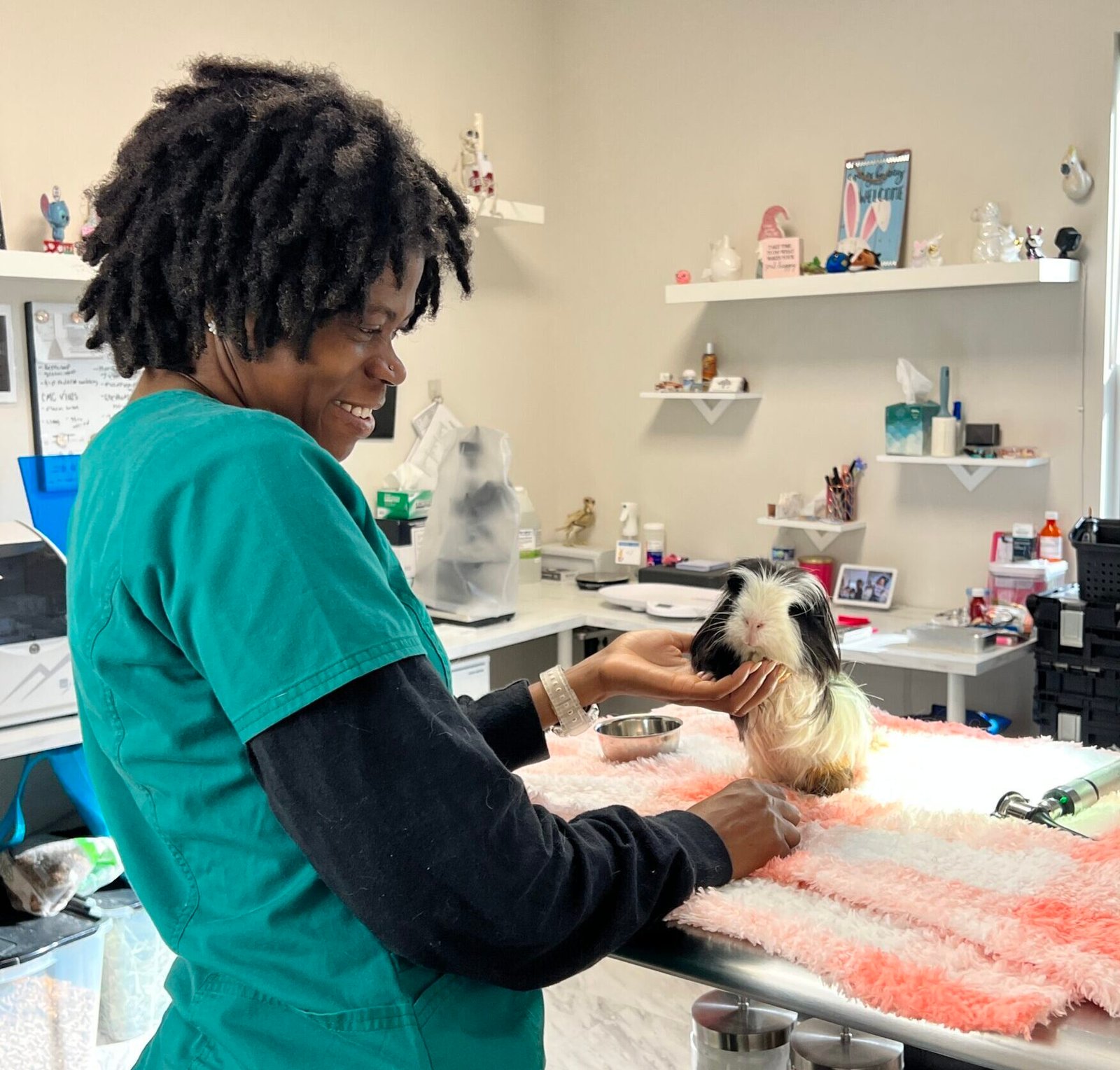guinea pig at the vet